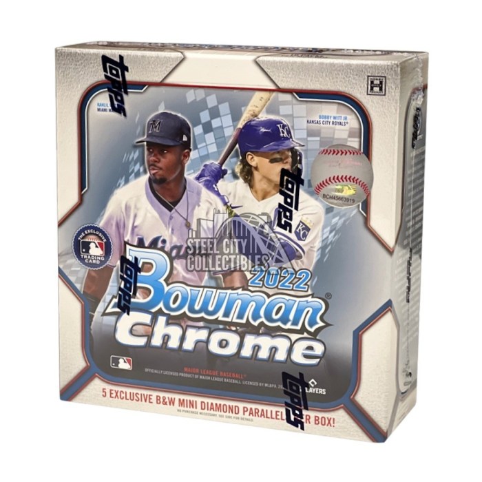 Bowman Hobby Box 2024