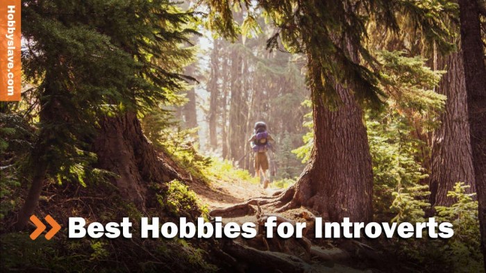 Hobbies For Introverts